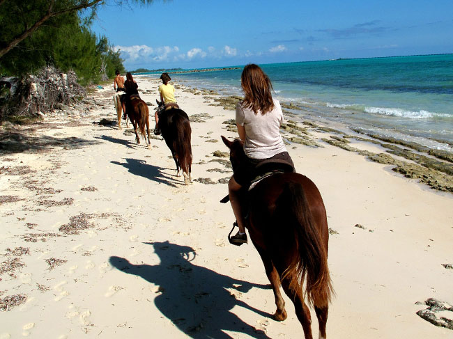 Horseback Riding